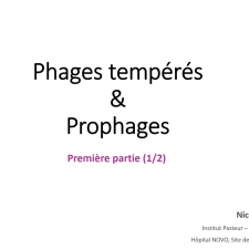 Phages tempérés & Prophages (Partie 1/2)