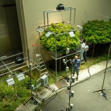 What is the GreenStorm project?