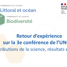 Retour d’expérience sur la 3e conférence de l’UNOC