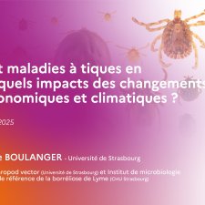 Tiques et maladies à tiques en France : quels impacts des changements socio-économiques et climatiques ?