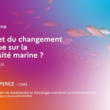 Quels effets du changement climatique sur la biodiversité marine ?