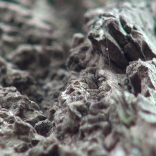 Terra incognita 2023-groupe 2