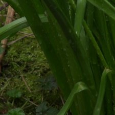 Terra incognita 2024-groupe 1