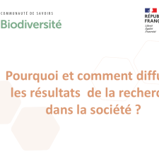 Pourquoi et comment diffuser les résultats de la recherche dans la société ?