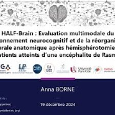 Vignette Soutenance Anna Borne