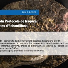 Vignette application du Protocole de Nagoya aux collections d’échantillons