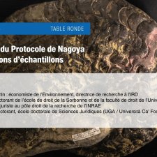 Vignette Echantillons et collections scientifiques_1.jpg