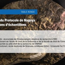 Vignette Echantillons et collections scientifiques.jpg