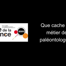 Que cache le métier de paléontologue ?