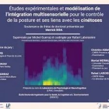 Vignette de la soutenance de thèse de Merrick Dida 