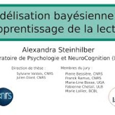 vignette ; Le cadre théorique majeur de l’étude de l’apprentissage de la lecture est la théorie d’auto-apprentissage. Selon cette théorie, l’apprentissage de la lecture repose sur l’apprentissage incident de formes orthographiques nouvelles, grâce à un décodage phonologique réussi. Le contexte pourrait jouer un rôle facilitateur lorsque le décodage phonologique est partiellement correct.  A ce jour, seuls deux modèles computationnels d’auto-apprentissage existent. Ils se placent dans le cadre théorique de l