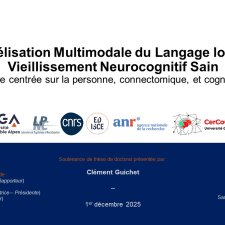 vignette de la soutenance de thèse de Clément GUICHET