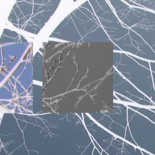 Terra incognita 2025-groupe 1