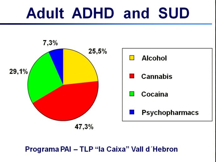 slide_0062_full.jpg