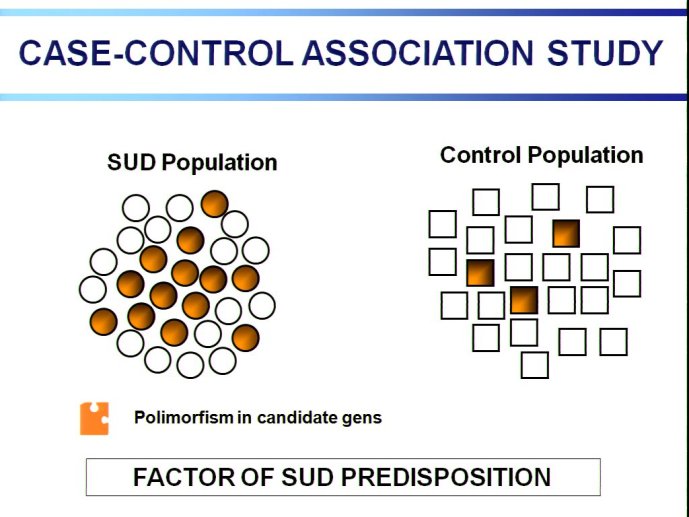 slide_0065_full.jpg