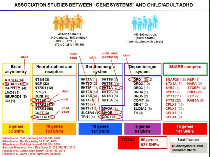 slide_0076_full.jpg