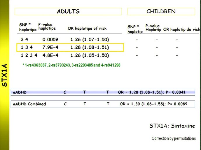 slide_0083_full.jpg