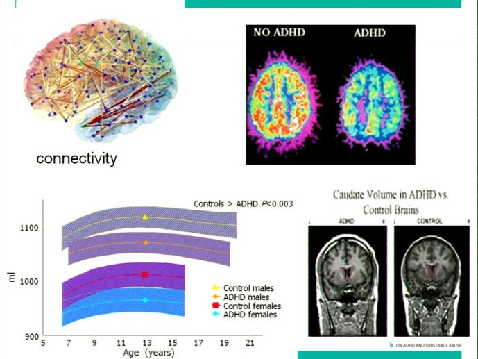 slide_0010_full.jpg