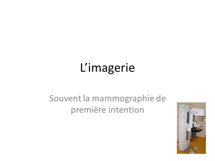 Diapositive8.JPG