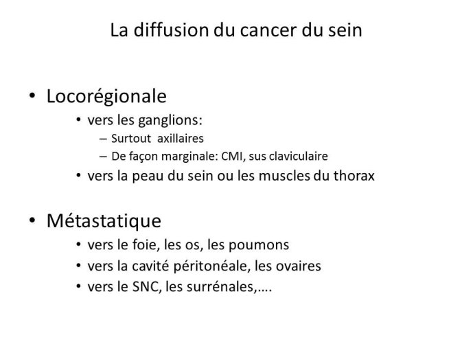 Diapositive3.JPG