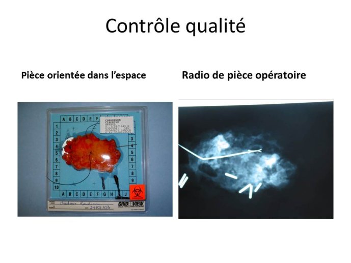 Diapositive10.JPG