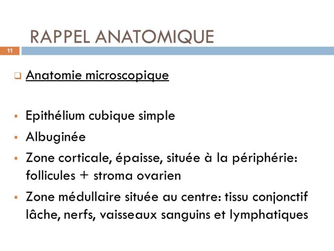 Diapositive11.JPG