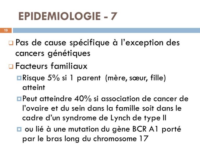 Diapositive19.JPG