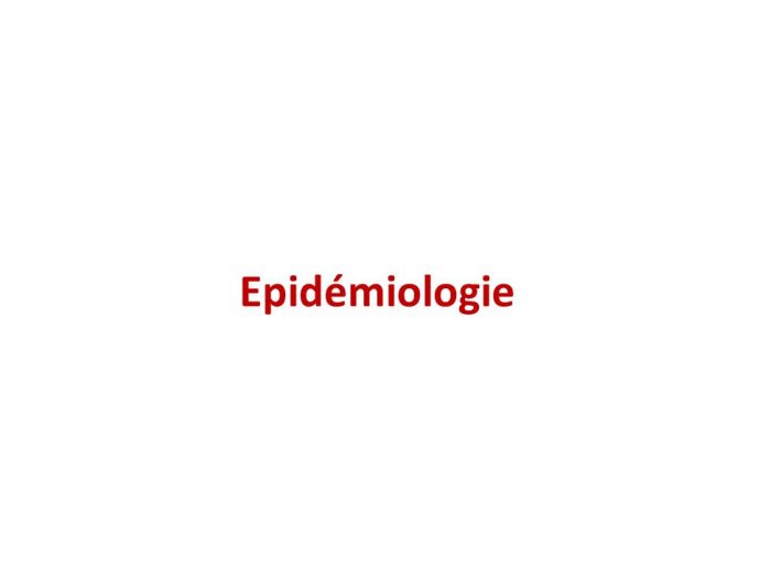 Diapositive8.JPG
