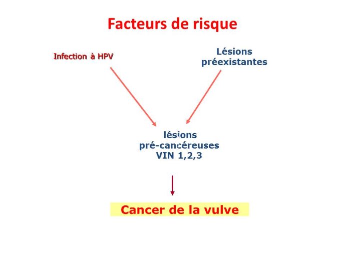 Diapositive19.JPG