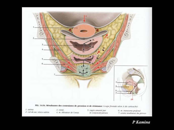 Diapositive67.JPG