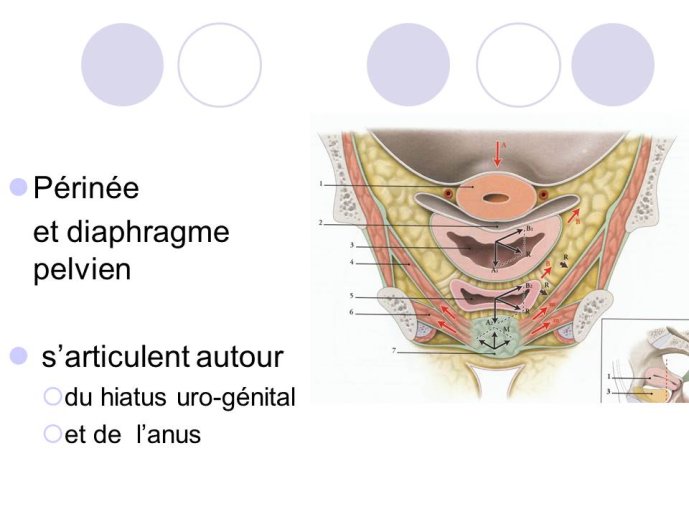 Diapositive2.JPG