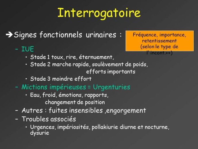 Diapositive5.JPG