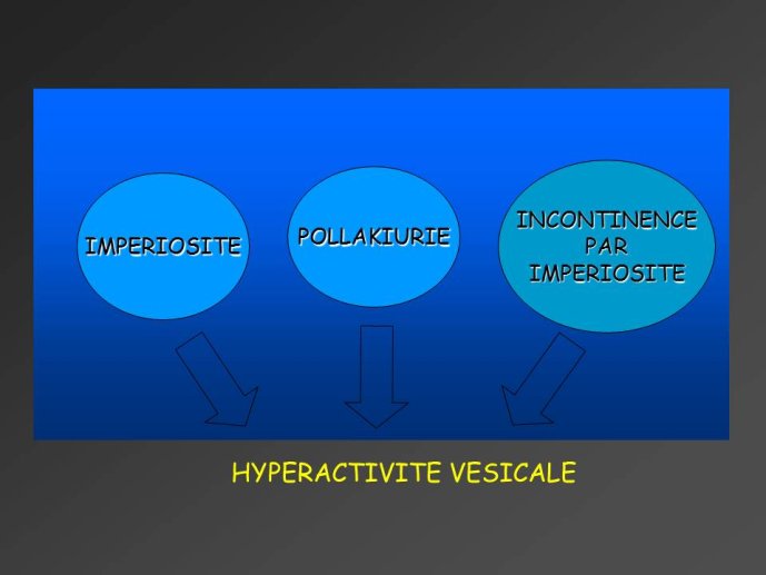 Diapositive6.JPG