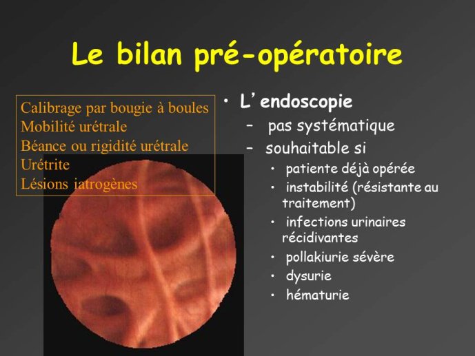 Diapositive20.JPG
