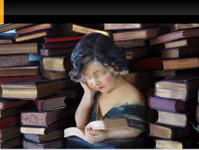 livre_numerique-04.png