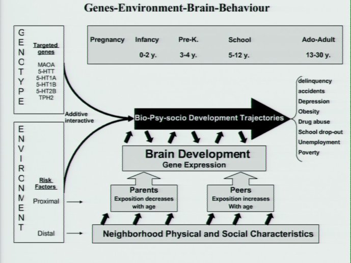 slide_0114_full.jpg