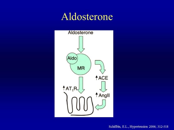 Diapositive3.JPG