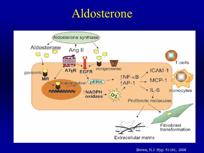 Diapositive5.JPG