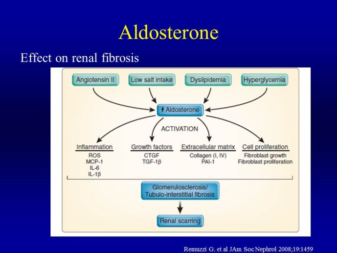 Diapositive6.JPG