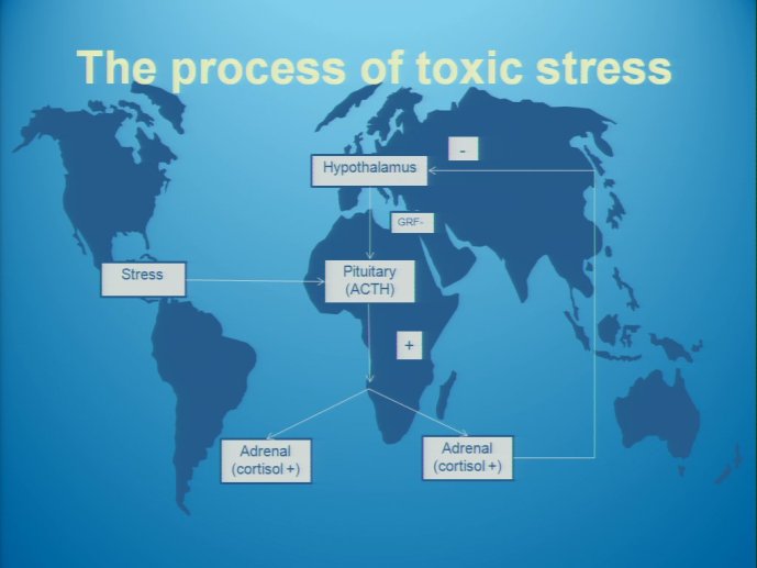 slide_0042_full.jpg