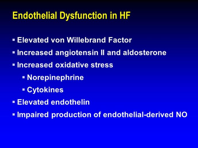 Diapositive11.JPG