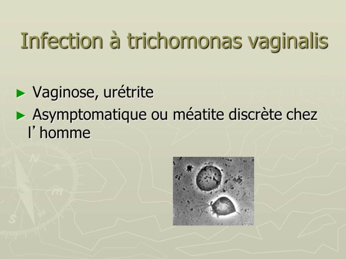Diapositive39.JPG
