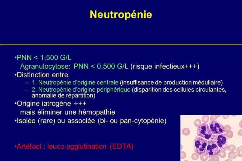 Diapositive36.JPG