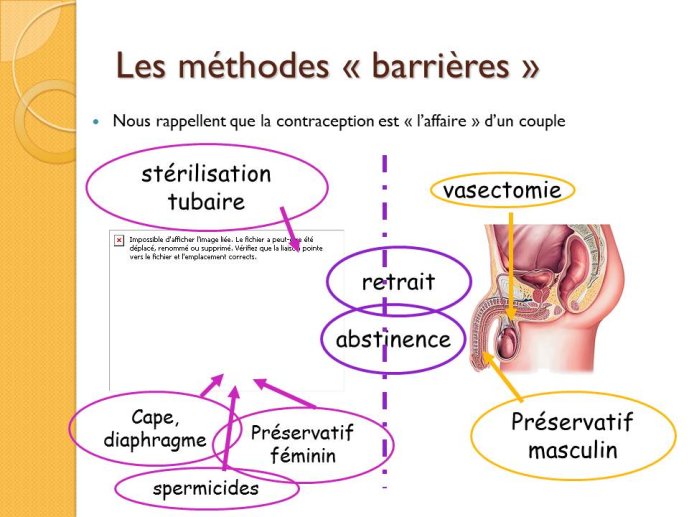 Diapositive9.JPG