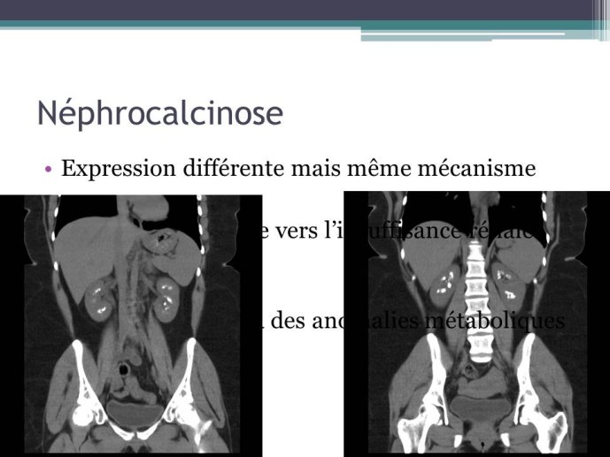 Diapositive21.JPG