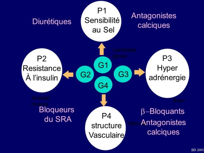 Diapositive6.JPG