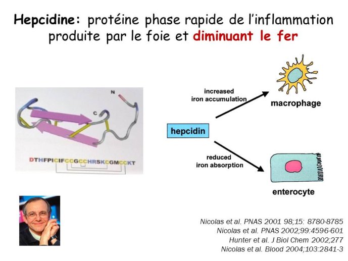 Diapositive6.JPG