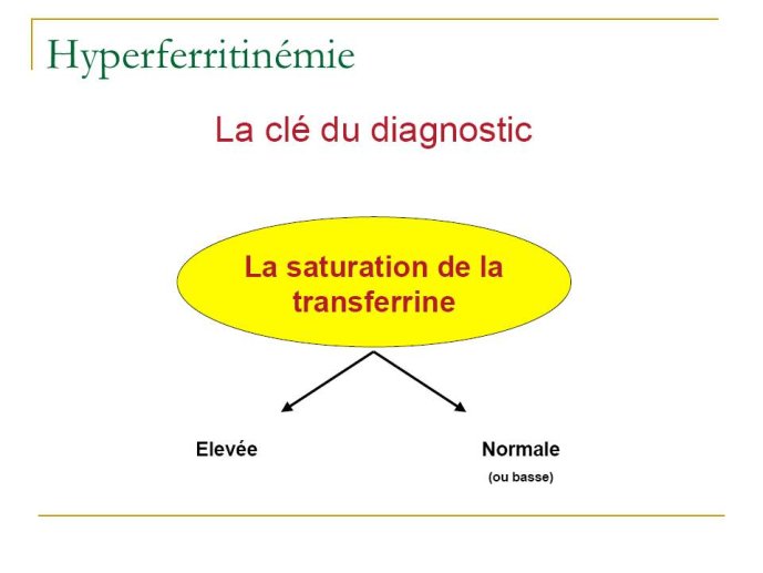 Diapositive15.JPG