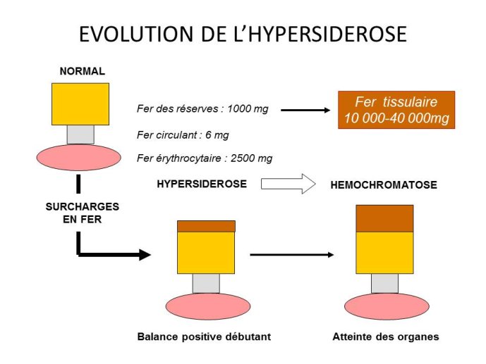 Diapositive26.JPG