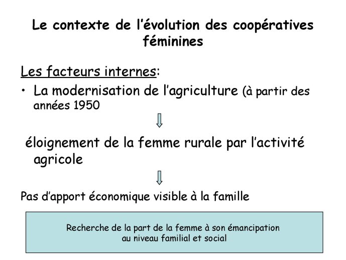 Koutsou-présentation effets03jpg.jpg